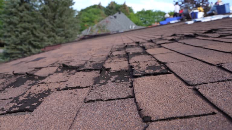 Professional Roofing in Pacific City, OR